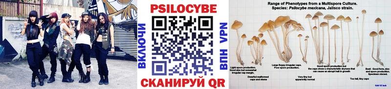 Псилоцибиновые грибы GOLDEN TEACHER  Нестеровская 